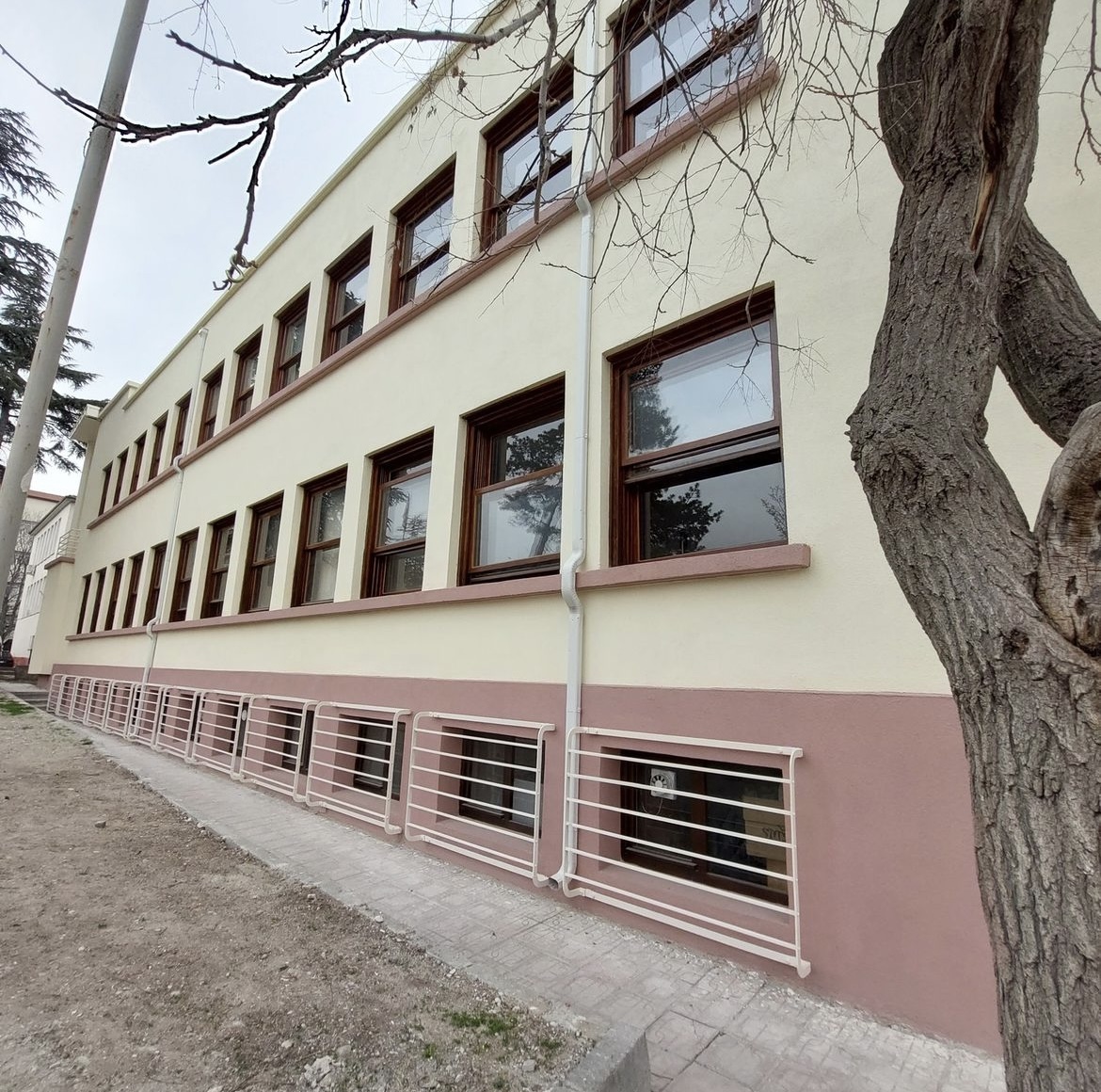 Ankara Üniversitesi Veterinerlik Fakültesi Tescilli Anatomi Patoloji Binası Restorasyonu İşi